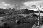 Loch Maree