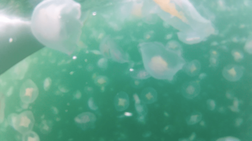 Screen Shot 2013-08-31 at 11.33.20