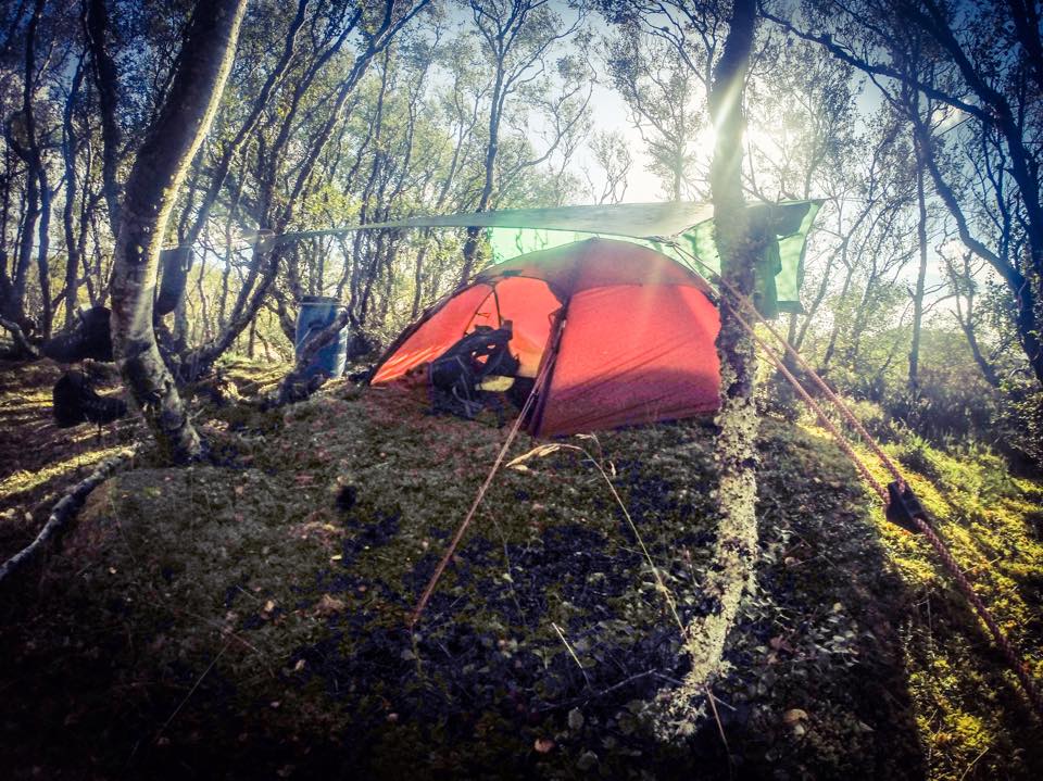 12030722_10153558906683847_835554400_n